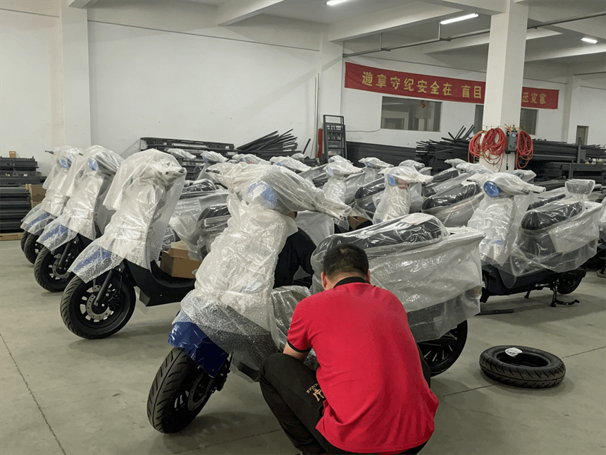 private label electric moped