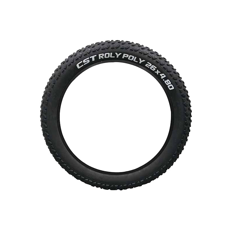 ebike-tire-1