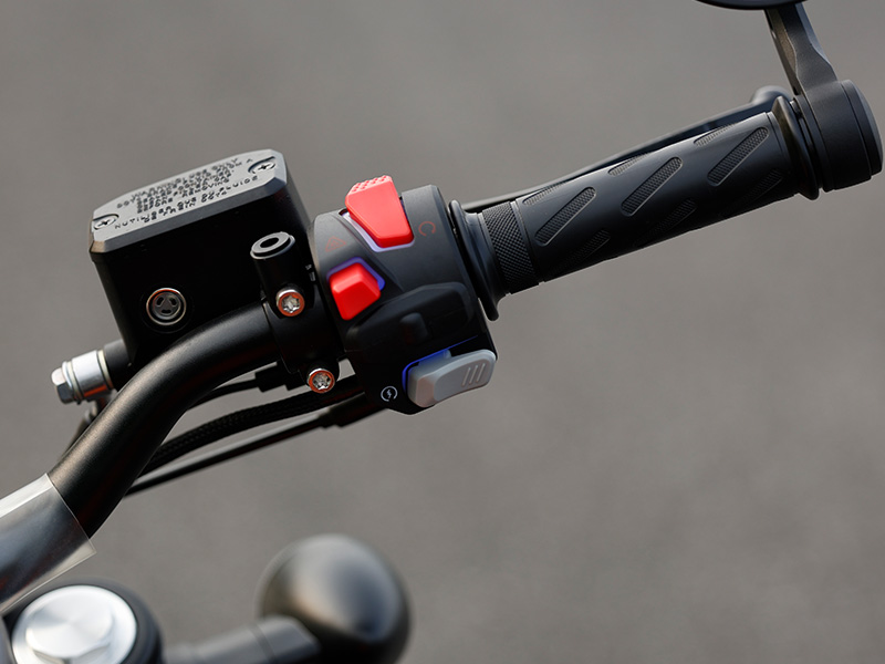 Rotary-Type Throttle Control