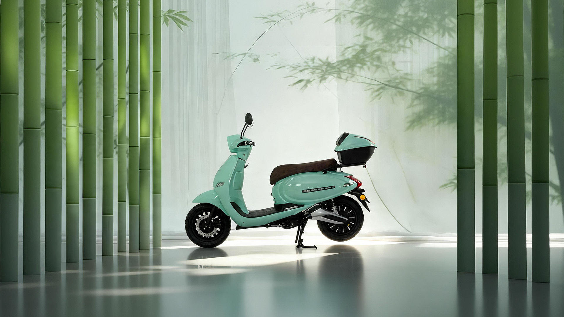 electric moped supplier