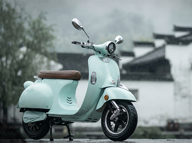 electric moped wholesale